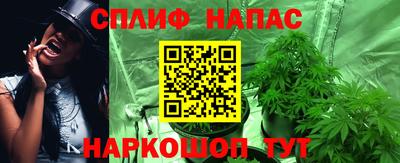 Альфа ПВП Кандалакша