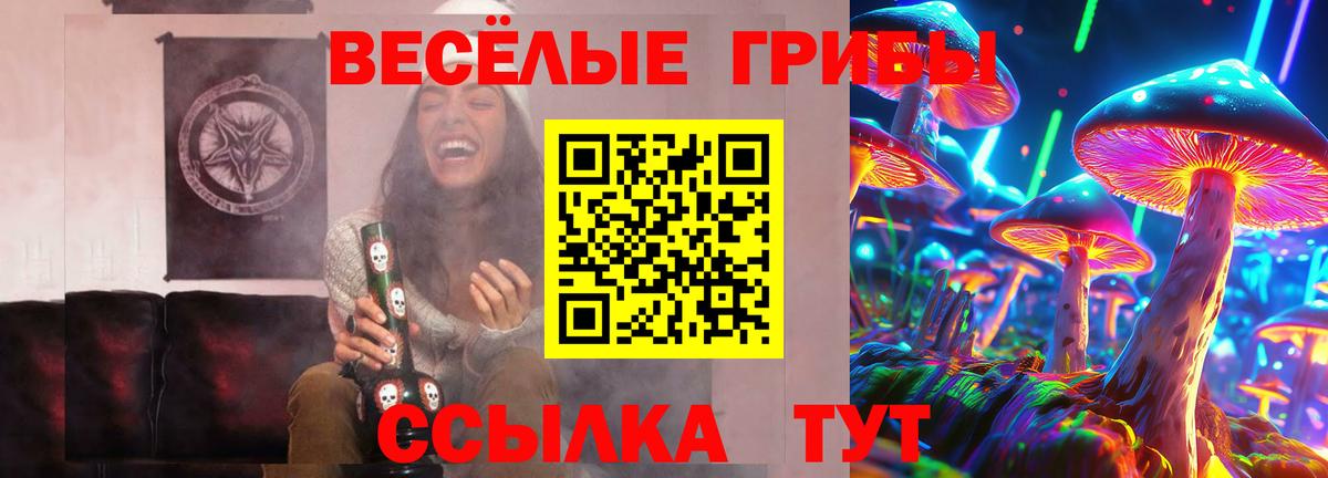 Галлюциногенные грибы Magic Shrooms Курчатов
